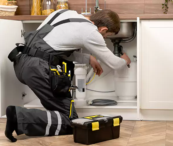 Certified Plumbers for Insinkerator Installation in Tacoma