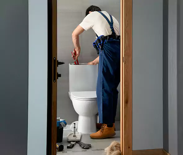 Professional Plumbers for Toilet Bowl Replacement in Tacoma, WA: Schedule Affordable Toilet Replacement Services With Us