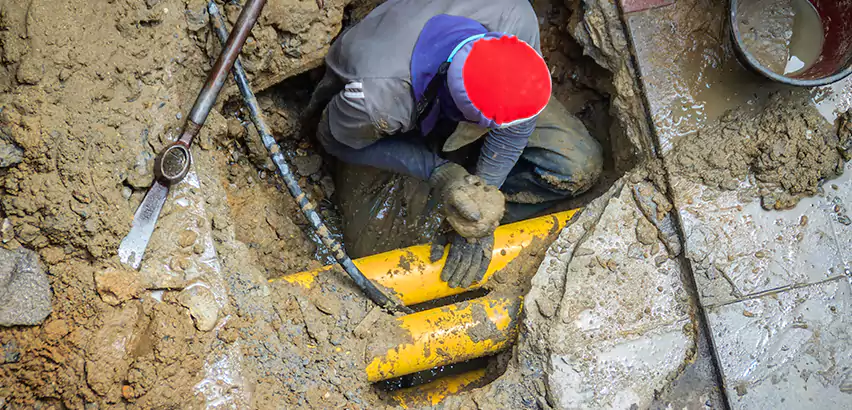 Clogged Drain Repair in Tacoma, WA