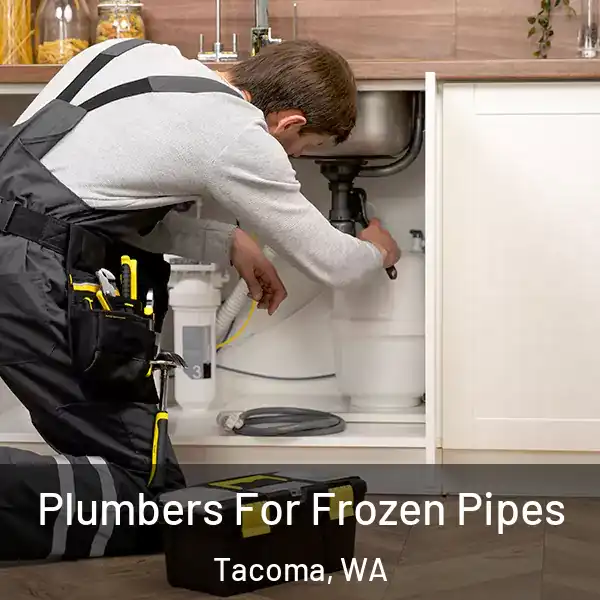  Plumbers For Frozen Pipes Tacoma, WA
